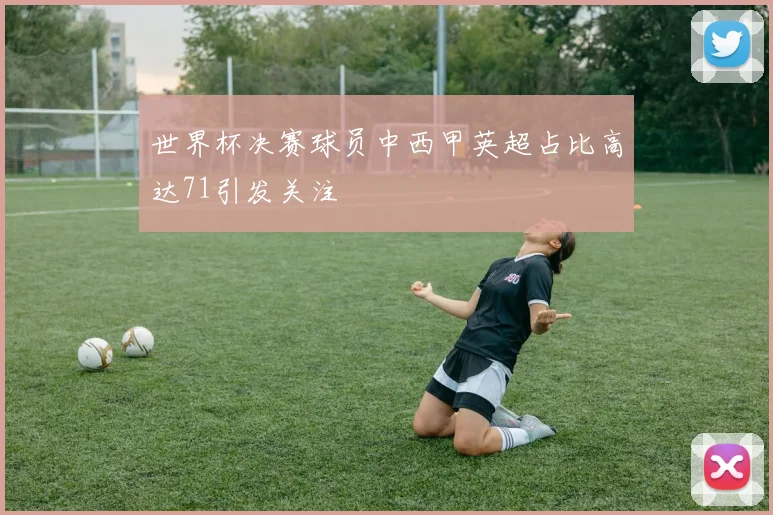 世界杯决赛球员中西甲英超占比高达71引发关注