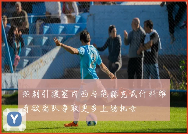 热刺引援塞内西与范赫克武什科维奇欲离队争取更多上场机会